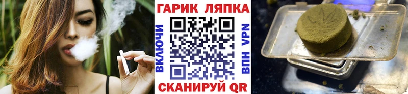как найти   Андреаполь  ГАШ Premium 