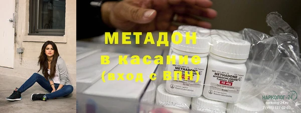 гашик Алексин