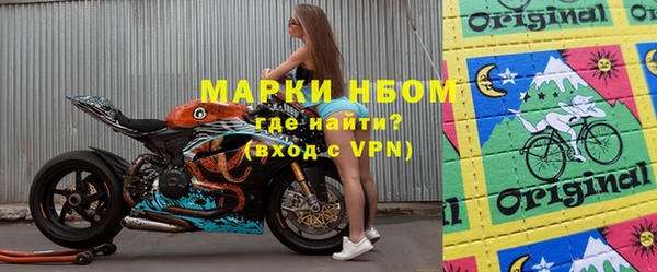 гашик Алексин