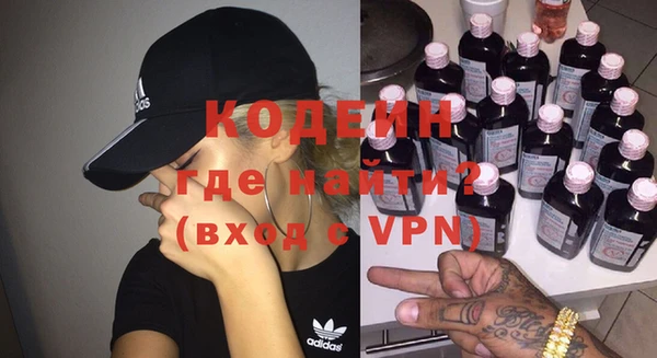 гашик Алексин