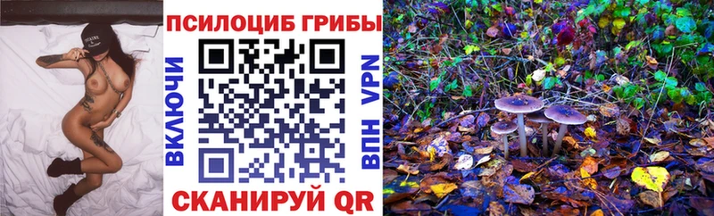 Псилоцибиновые грибы Magic Shrooms  Андреаполь 